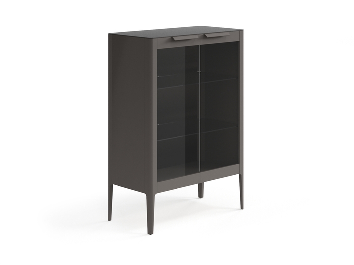 Мебель Витрина Пьега. Цвет Матовый антрацит. Материал Гладкая эмаль. Коллекция Витрина Пьега. Фото. Мебель Витрина Пьега. Цвет Матовый антрацит. Материал Гладкая эмаль. Коллекция Витрина Пьега. Картинка.