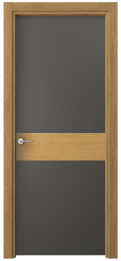 Дверь межкомнатная 4221 ПЭГФ. Цвет ПЭТ графитовый. Материал ПЭТ. Коллекция Freedom. Картинка.