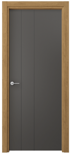 Дверь межкомнатная 4203 ПЭГФ. Цвет ПЭТ графитовый. Материал ПЭТ. Коллекция Freedom. Картинка.